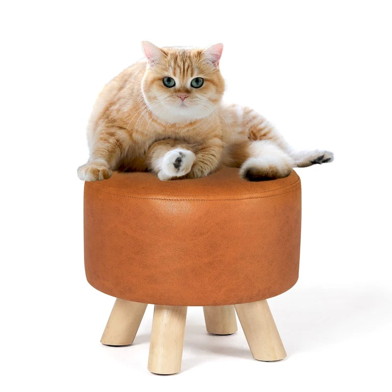 Repose-pieds Ottomane Tabouret pour Animaux de Compagnie