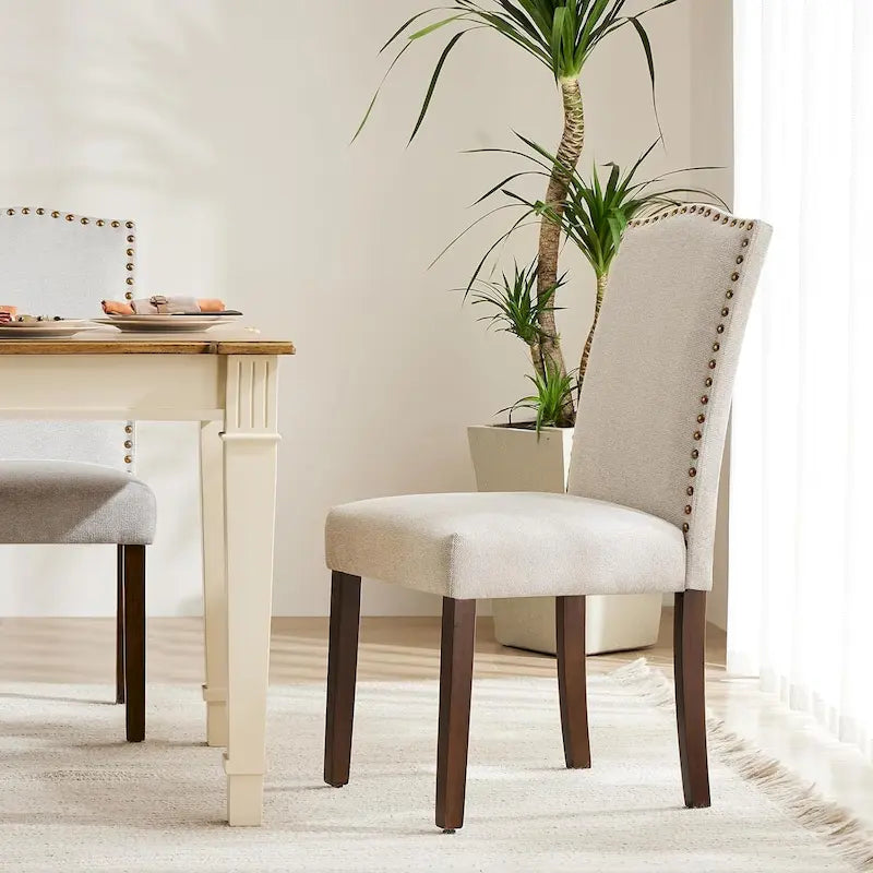 Chaise de salle à manger capitonnée de style moderne, avec bordure cloutée et pieds en bois massif